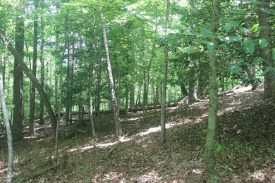 Lt 2628 Garnet Dr, Ellijay, GA 30540 - photo 6