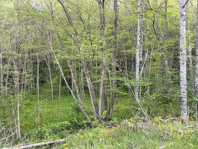 00 Bob Byrd Rd, Spanishburg, WV 25922 - photo 7