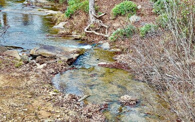 LT209 Harris Ridge Dr, Ellijay, GA 30540 - photo 7