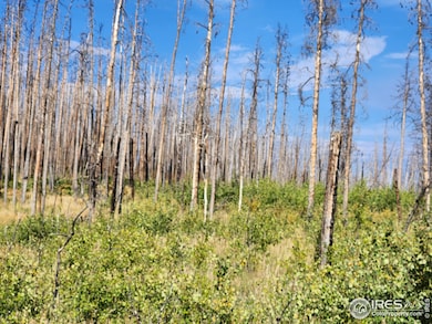 0 Crystal Mountain Rd unit 1047926, Bellvue, CO 80512 - photo 5