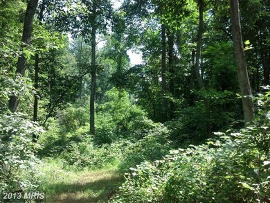 0 Chimney Cir unit 1003681460, Middletown, VA 22645 - photo 6