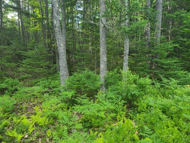 14.14B Cove Side Way, Westport Island, ME 04578 - photo 3