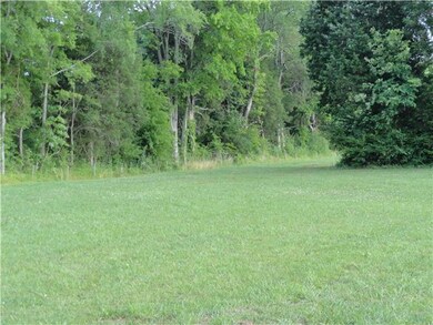 The trees along the back of many lots provide additional privacy for these extremely large lots.