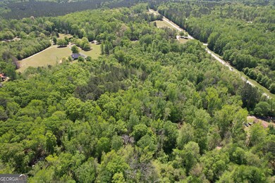 2310 Hollonville Rd, Williamson, GA 30292 - photo 5