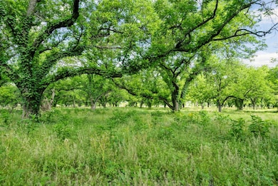 179 County Road 348, Gorman, TX 76454 - photo 7