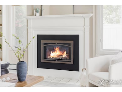 Living room fireplace detail.