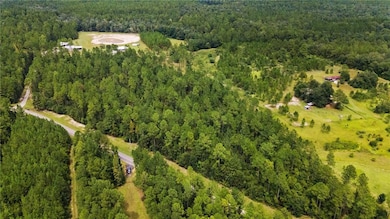 25820 Goat Cooper Rd, Robertsdale, AL 36567 - photo 4