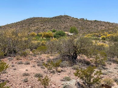 looking west