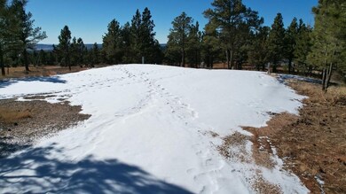 26867 Stage Stop Rd unit Canyon Rim Ranch Pro, Crazy Horse, SD 57730 - photo 6