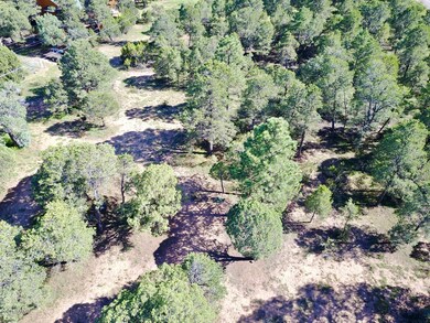 DJI_0071