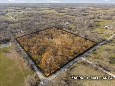 0 Wilmoth Rd, Polk Township, MO 64080 - photo 2