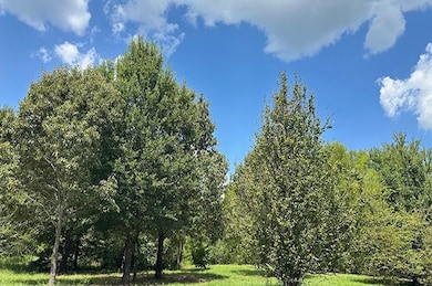 00 County Road 4885, Winnsboro, TX 75494 - photo 3