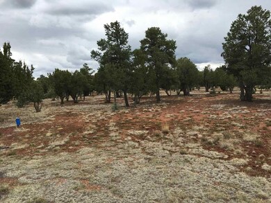 Lot 166 L