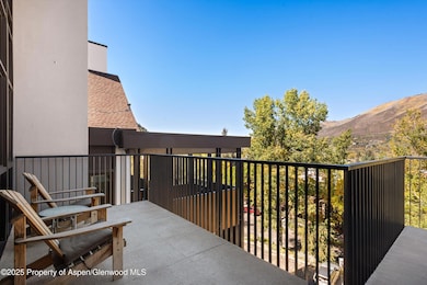 800 S Mill St unit 301, Aspen, CO 81611 - photo 2