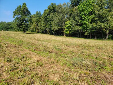 0 Farrrah Hill Rd, Manchester, TN 37355 - photo 4