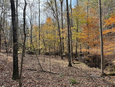 Middelton Rd, Elberton, GA 30635 - photo 2