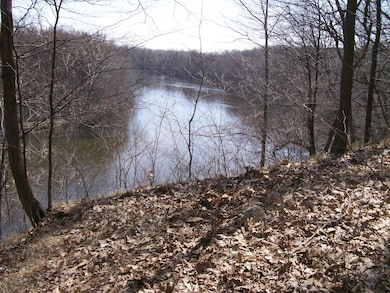 1680 River Bend Blvd, Bertrand Township, MI 49120 - photo 3