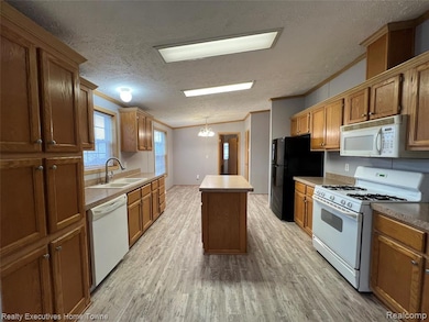 3763 Cross Creek, Dryden, MI 48428 - photo 4