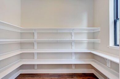 Large Kitchen Pantry