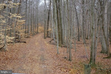 5917 Doyle Rd, Clifton, VA 20124 - photo 4