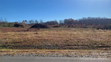 0 McCurry Farm Ln, Lincolnton, NC 28092 - photo 3