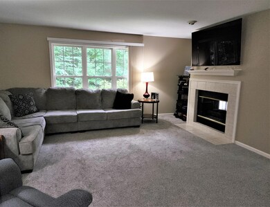 Living Room with Double Sided Fireplace