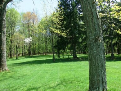 more of the front yard view