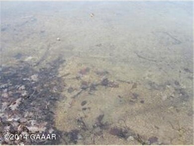 1064 W Lake Cowdry Rd NW, Alexandria, MN 56308 - photo 2