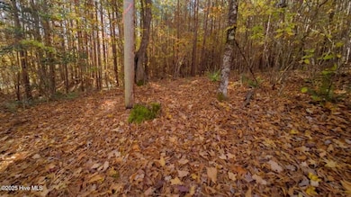 0 N Carolina 903, Littleton, NC 27850 - photo 4