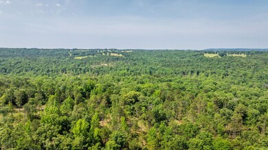 Tract 6 Harmony Mountain Rd, Clinton, AR 72031 - photo 7