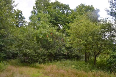 178 Meredith Center Rd, Meredith, NH 03253 - photo 3