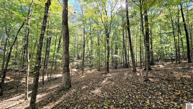 Lot 6 Malcolms Point Rd, Cadiz, KY 42211 - photo 7