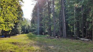 Nhn Rainbow Dr, Bigfork, MT 59911 - photo 5