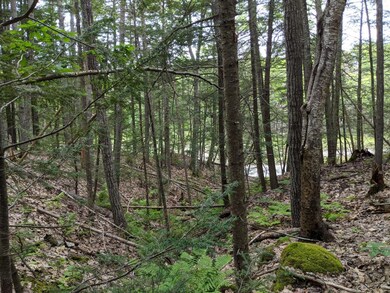 Off Dover Rd, Boothbay, ME 04537 - photo 4