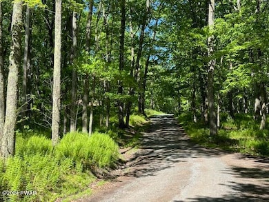 Lot 17 Woodlyn Acres Rd, Berlin Township, PA 18428 - photo 3