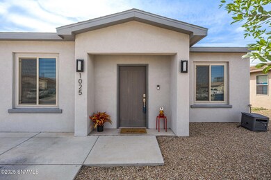 1025 Chitamacha Rd, Las Cruces, NM 88007 - photo 5