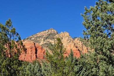 MLS 5