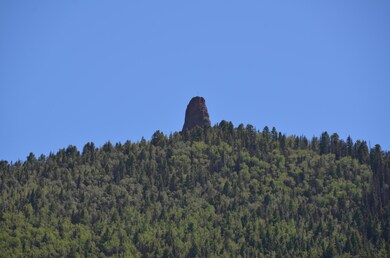 NEEDLE ROCK VIEW