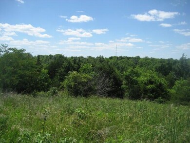 IMG_0426 (Small)