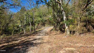 1876 Upper Middle Creek Rd, Sevierville, TN 37876 - photo 3