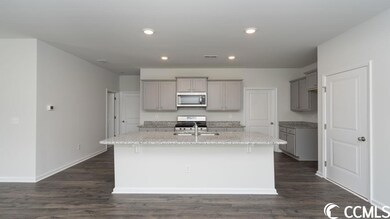 901 Corn Husk Loop unit Lot 219- Robie B, Conway, SC 29527 - photo 4