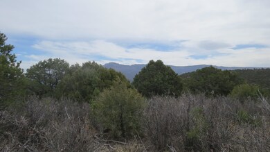 0 Vista Dr W unit 58 22-403, Trinidad, CO 81082 - photo 6