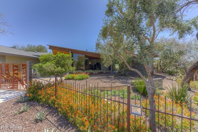 Sustainable Xeriscape
