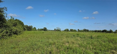 16905 NW 220th St, Okeechobee, FL 34972 - photo 5