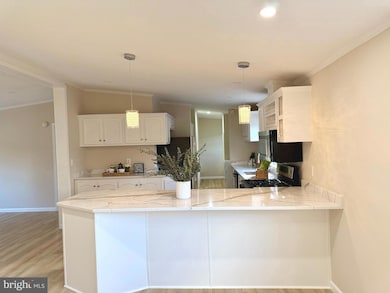 14517 Braniff Cir, Chantilly, VA 20151 - photo 4