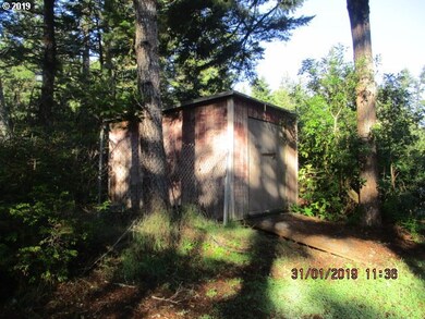 Shed