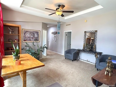 29 Granada Ct, Westcliffe, CO 81252 - photo 3