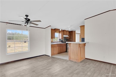 2711 Abraham Dr, Donna, TX 78537 - photo 6