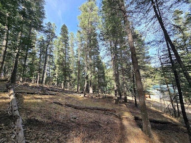 0 Gold Nuggett Alley unit 2 170304, Cloudcroft, NM 88317 - photo 5