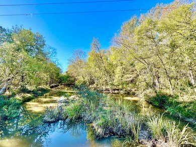 5395 Grand View Dr, Athens, TX 75752 - photo 2